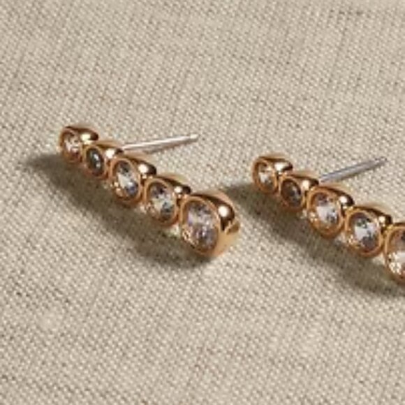 Banana Republic Factory Jewelry - Banana Republic Pave Stone Earrings/NWT